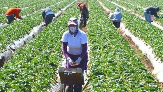 Lavoratori stranieri in nero valgono 15 miliardi di euro, un punto del Pil