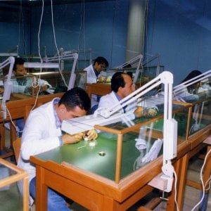 Più soldi agli Its per creare i tecnici che le aziende cercano e non trovano