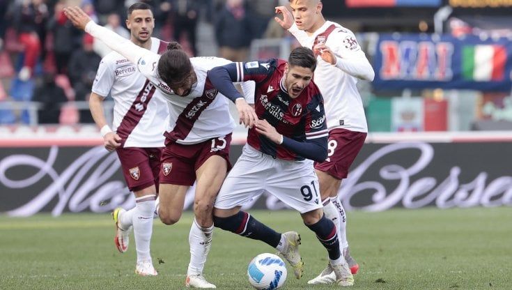 Bologna-Torino 0-0, al Dall'Ara pomeriggio con poche emozioni