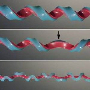 C'&egrave; una nuova forma geometrica: scoperta l'emielica