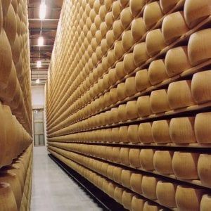 Parmigiano Reggiano promuove un progetto per il benessere dei più giovani