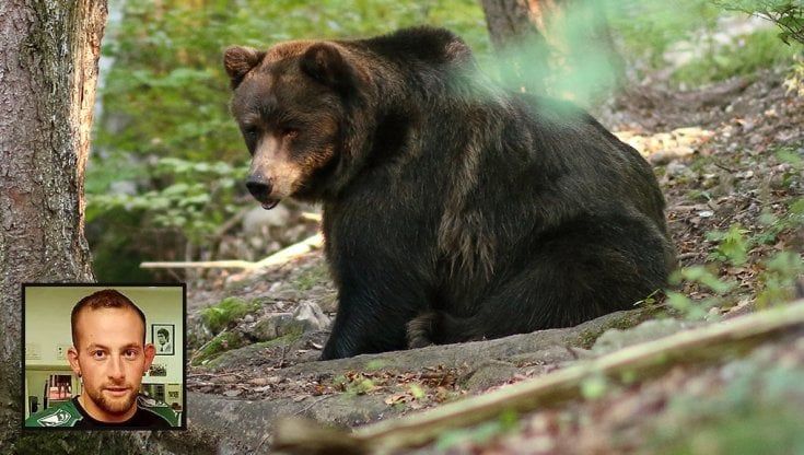 La madre del runner ucciso dall'orso in Trentino: "La tragedia poteva essere evitata"