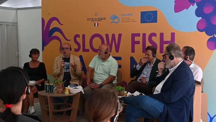 La seconda vita della posidonia: così diventa energia sostenibile