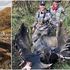 Posta su Twitter le foto del grizzly e dell'alce uccisi: ex giocatore di hockey scatena la rabbia del web