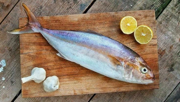 Le alacce e la ricciola: le altre conserve