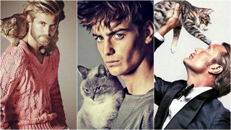 Instagram, belli e felini: uomini che amano i gatti