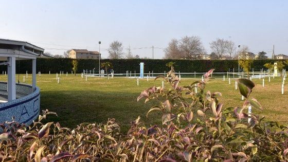 Aqualena, il difensore dei Vetere: "Non hanno nulla a che fare con Aemilia"