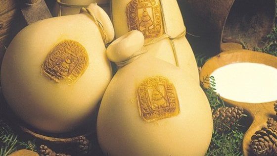 Tartufi, bollicine e formaggi. E' la Francia? No, la Sila, cuore verde della Calabria