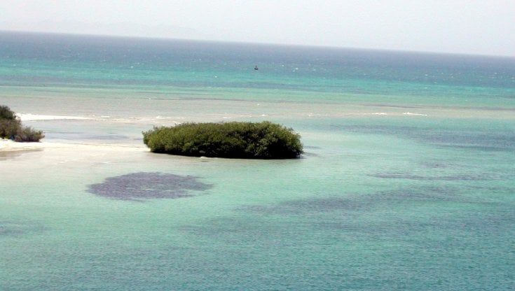 Topi e cocco: così tre cubani hanno resistito 33 giorni su un'isola sperduta delle Bahamas