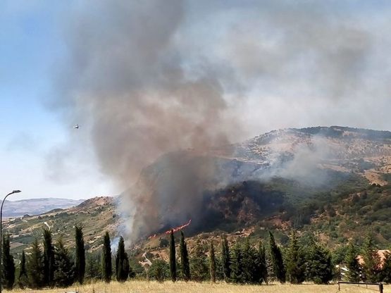 Palermo, incendio sulla montagna di Petralia Sottana: fiamme alimentate dallo scirocco