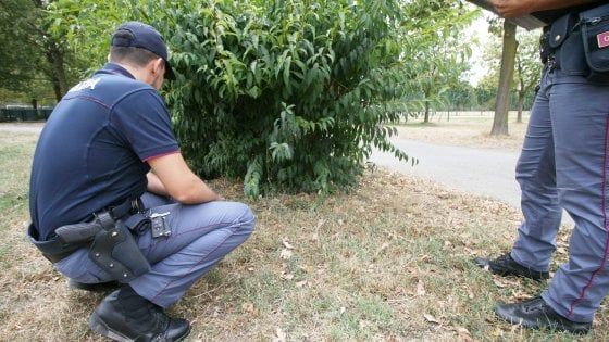 Anziana 80enne stuprata nel parco in pieno giorno a Milano