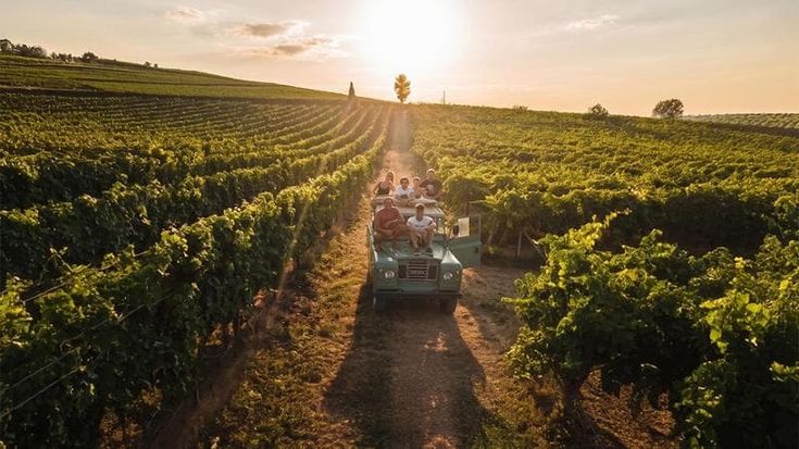Five travel trends for autumn and winter: from seasonal getaways to micro-adventures