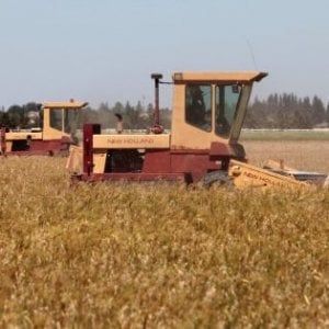 Agricoltura, la Cia compie 40 anni
