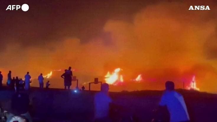 Algeria, incendi boschivi a Jijel: vigili del fuoco in azione