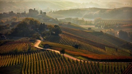 Piemonte, aumentano le donne con tumore al seno