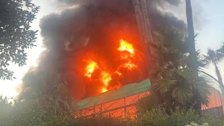 Ottaviano: incendio in un vivaio rischio inquinamento. Il sindaco: "Scuole chiuse e restate a casa"