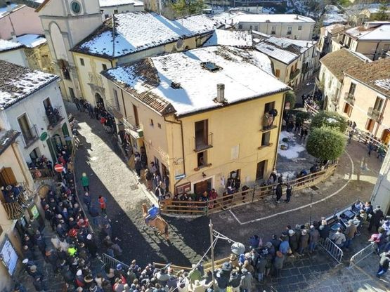 Potenza, a Pignola la tradizionale corsa dei muli in onore di Sant'Antonio Abate