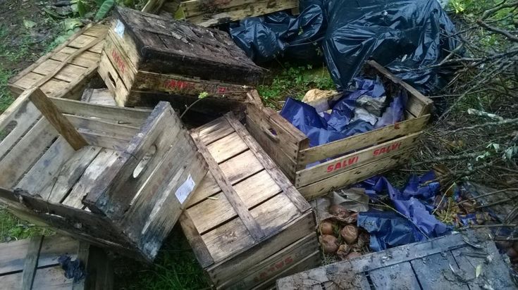 Lecce, frutta e pasta per i poveri marciscono nei campi