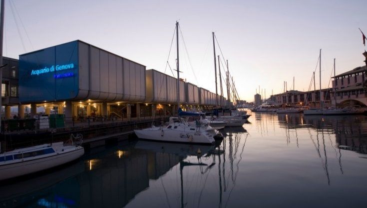 Più di cento influencer a Genova per la convention C-Factor