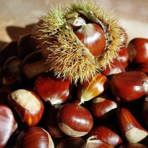 Castagne italiane, un’ottima annata