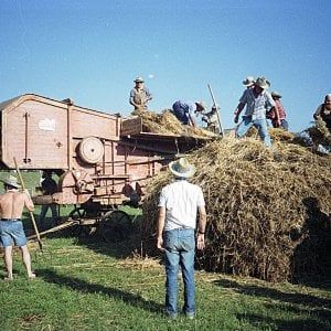 Bagno a Ripoli, all'Antella rivive l'antica festa della battitura