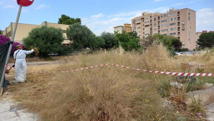 Un'area giochi con scivoli e giostrine davanti alle scuole Salgari e Cesareo