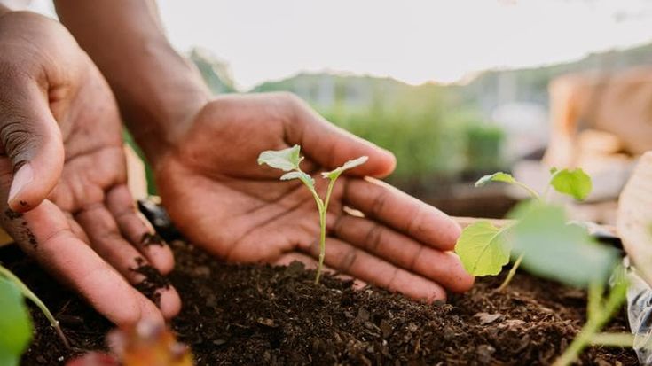 Imballaggi “intelligenti” amici dell’ambiente: il progetto Riusa