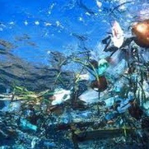 Primo s&igrave; del Parlamento Ue per dimezzare gli shopper in 3 anni