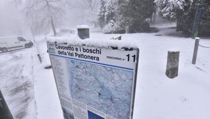 Meteo, in arrivo il freddo polare: neve anche in pianura