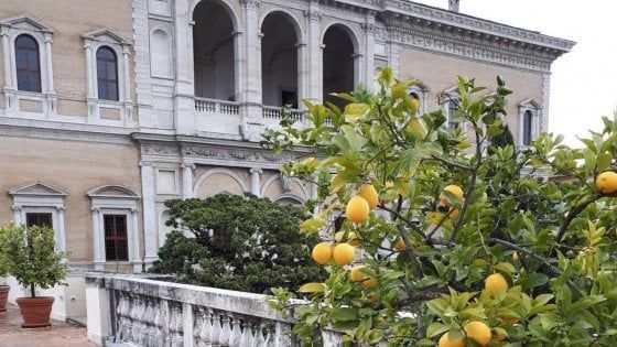 Il miglior limoncello d'Italia? Si fa a Roma, sul terrazzo dell'ambasciata francese