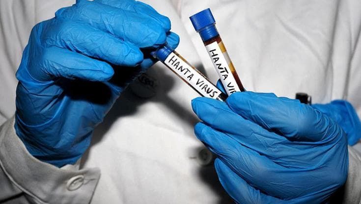Rischio di pandemia, contagi, terapie: tutti i misteri dell’Hantavirus