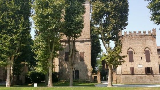 "Zanzare vettori" del virus: a San Secondo il Comune monta in municipio le zanzariere anti Covid