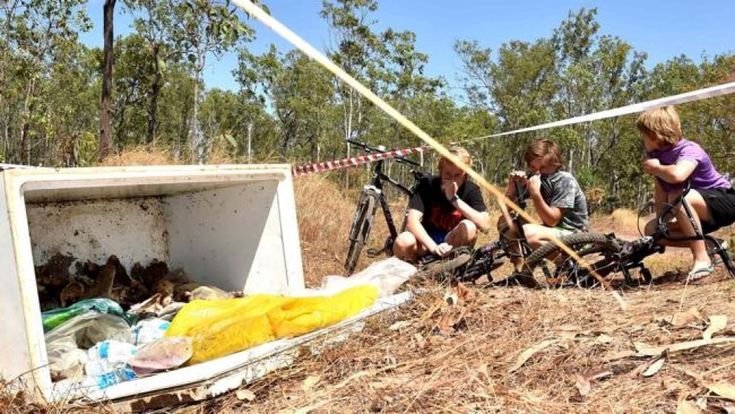 Australia, 70 teste di coccodrillo scoperte in frigorifero