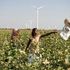 Enel alla conquista dell'India, il più grande mercato delle rinnovabili