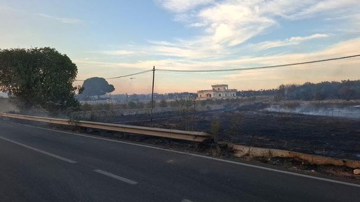 Salento, incendio nella marina di Andrano: fiamme a ridosso delle abitazioni, evacuate le famiglie