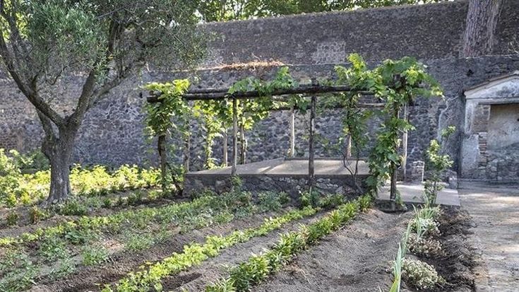 Rinasce il giardino dell’antica domus