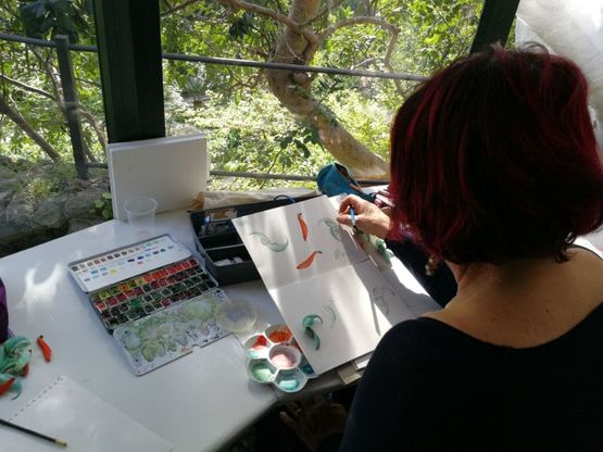 Niente smartphone: a Ischia la natura della Mortella si immortala con gli acquerelli
