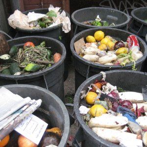 Spreco alimentare, in Italia finiscono nella spazzatura 13 miliardi di euro