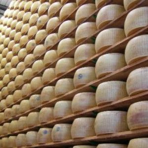 Reggio, ladri rubano 200 forme di parmigiano 