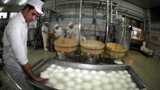 La Puglia vince la guerra del latte: mozzarelle e formaggi saranno tracciati