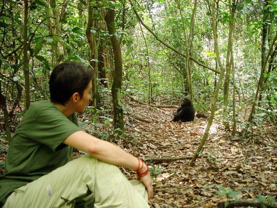 Chloé Cipolletta, sulle orme del gorilla di montagna