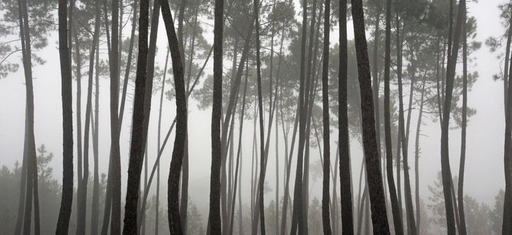 365 volte Europa. Il cammino nella nebbia tra lecci e graniti