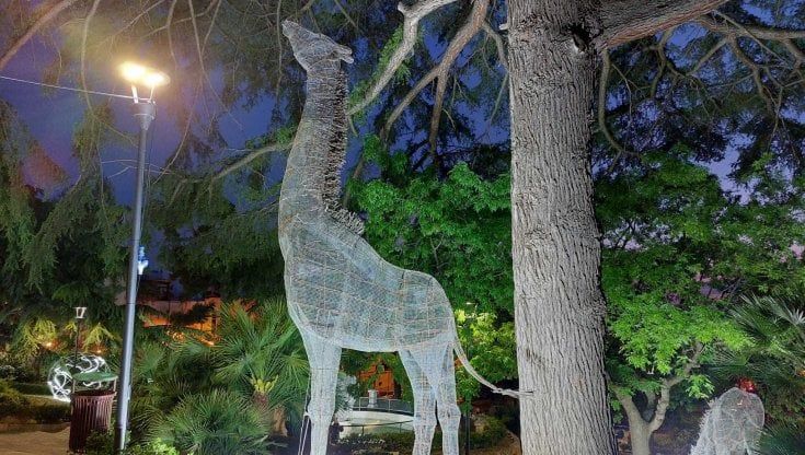 A passeggio tra lo zoo luminoso e le gocce di luce: a Conversano la bellezza del  Lumen Spring Fest
