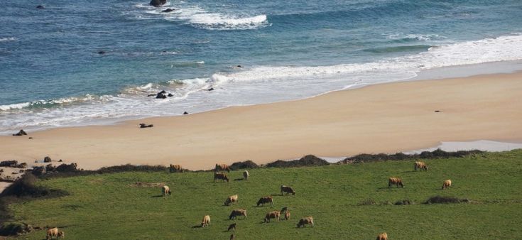 365 volte Europa. Entriamo sul Camino del Norte