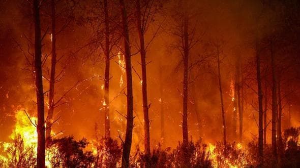 Perché gli incendi vicino a Bordeaux sono diventati incontrollabili