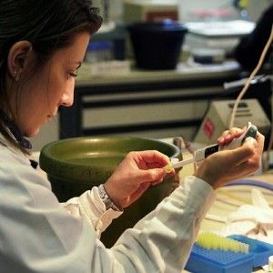 Telethon assegna quasi un milione per la ricerca a Torino
