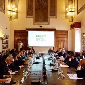 Un anno di anti-caporalato. Martina: "Emergono occupati e contributi"