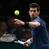 Tennis, debutto ok di Djokovic a Bercy, Del Potro rinuncia alle Finals
