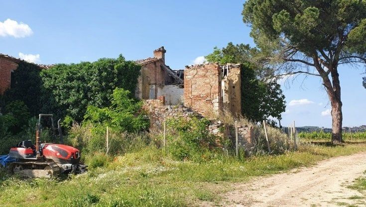 Poggio Bonelli-Chigi Saracini nel Chianti, i Tenimenti Mps  in perdita e a rischio svendita