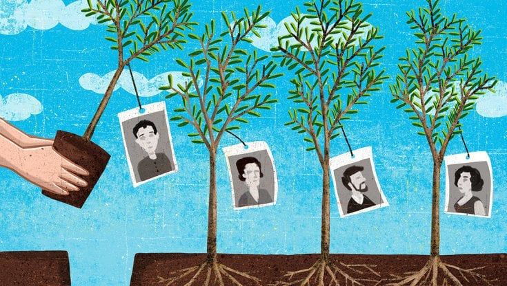Giornata nazionale degli alberi: mettiamo radici per il futuro